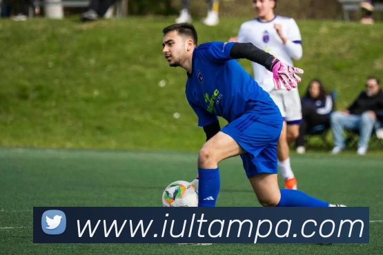 pa真人视讯平台生态图