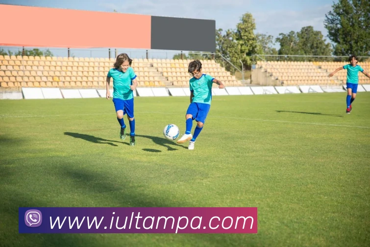 pa真人视讯全站App